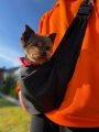 front.jpg