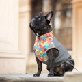 softshell-buldog-pierrot.jpg