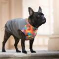 softshell-buldog-pierrot-1.jpg