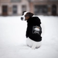 Bluza-dla-psa-Jack-Russell-Terrier-walk-1.jpg
