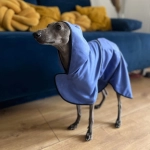Peignoir pour chien BLEU