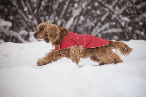 Imperméable pour chien - Vêtements de pluie confortables pour chiens