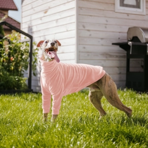 Sweat-shirt en velours rose pour un lévrier