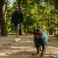 welurowa-bluza-buldog-4.JPG