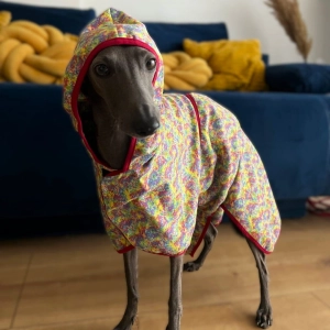 Peignoir pour chien PIERROT