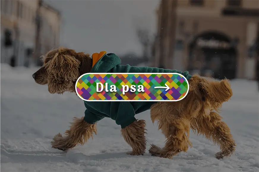 Kolekcje ubrań dla psów