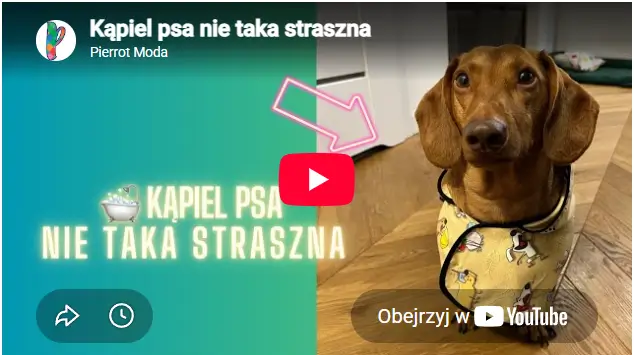 Film prezentujący markę Pierrot Moda